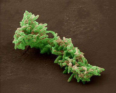 [02[3].jpg]